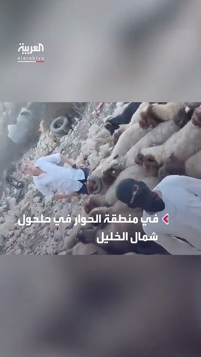           
 - نشر قبل 2 ساعة
