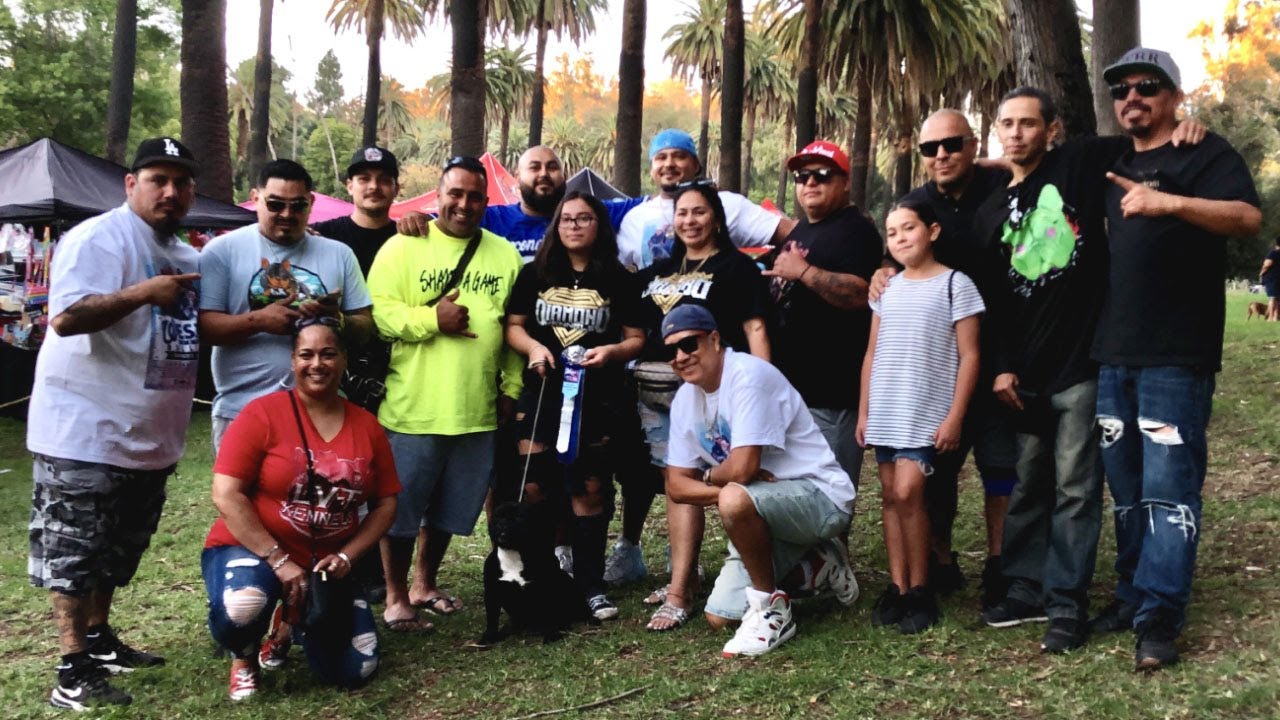 City Of Angeles Exotic Bully BBQ VII