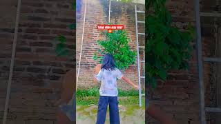 Tebak Yuk trending shorts subscribe