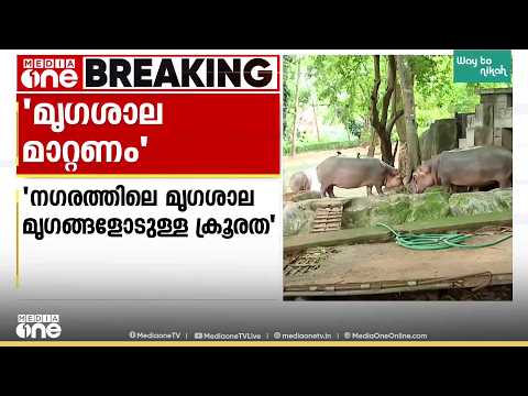 'ന​ഗരത്തിലെ മൃ​ഗശാല മൃ​ഗങ്ങളോടുള്ള ക്രൂരത'; തിരുവനന്തപുരം മൃ​ഗശാല മാറ്റണമെന്ന് മുഖ്യമന്ത്രി