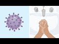 Coronavirus (COVID-19): Safely Cleaning and Disinfecting ...