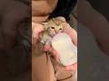 子猫ミルクちゃちゃ #子ネコ