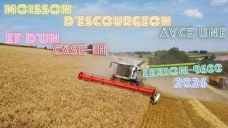 moisson escourgeon 2026 avec une Lexion 8600