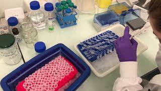 Ysis Of Haemolymph With Maldi Beetyping Poshbee Training