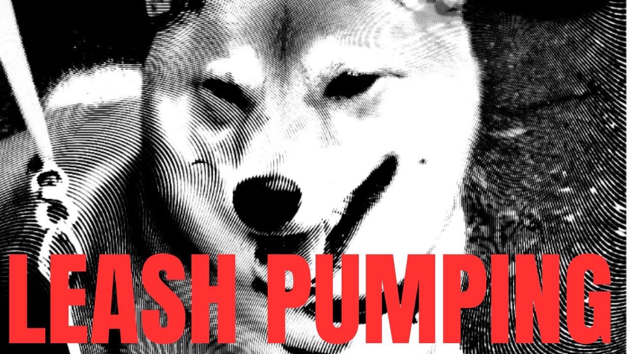 SHIBA INU HOLDERS WHY IS DOGE KILLER LEASH TOKEN PUMPING? YouTube