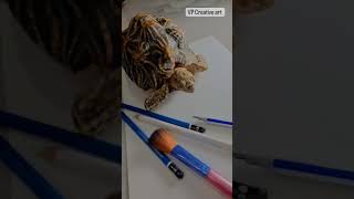 hyper realistic Turtle sketch#shorts #youtube #youtubeshorts
