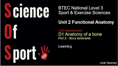 Unit 2 Functional Anatomy  - D1 Anatomy of a bone (Part 2) Bony landmarks