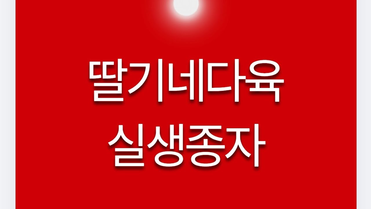 #딸기네다육 #실생 종자 #매창 #실생금 