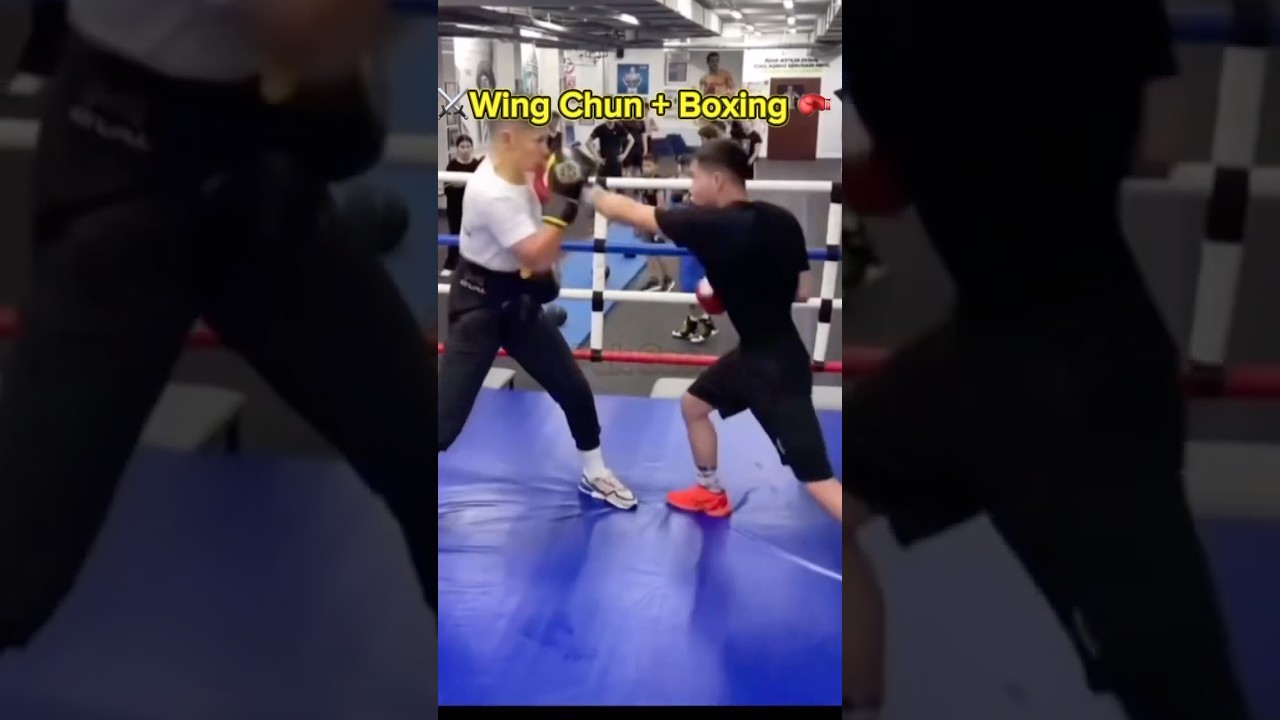 WING CHUN + BOXING #boxing #kungfu #wingchun #adaptation #mma #luta #ufc #vingtsunkungfu #brucelee