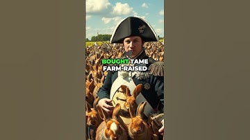 The Time Napoleon Was Attacked by Rabbits