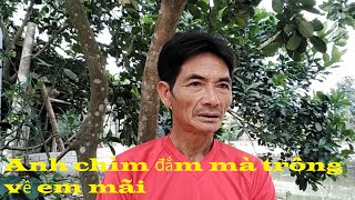 Anh chìm đắm mà trông về em mãi