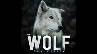 Episode #198 Jeff Reed - Bioacoustics & Cry Wolf Project