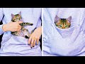 Smart And Funny Ideas For Pet Owners || Awesome Life Hacks For Cats And Dogs