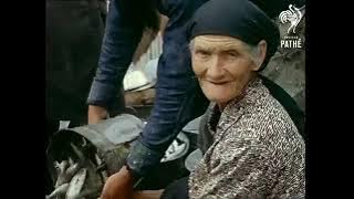 Dance Canary Dance   a tourism documentary film about the Canary Islands from the 1960s