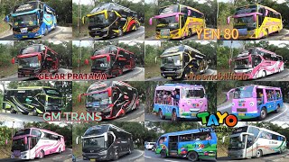 Mobil Bus Telolet CUNAK, TAYO, BUDIMAN, AL-UZLAH, DRW TRANS, GM TRANS, DHEEMOBILLINDO, GELAR PRATAMA