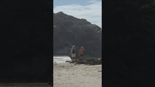 currumbin beach gold coast best pleace for surfing queensland australia you watching amazing 🗺🇦🇺🦘🤩🥰