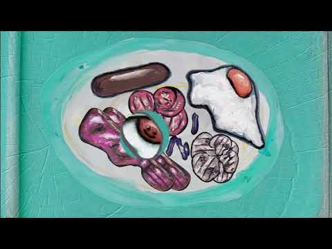 Motion graphics Teaser 2022/23