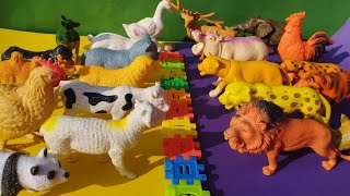 animals toys collection , safari animals , zoo animals , plastic animals, farm animals