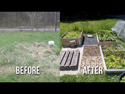How to Convert Sandbox to Vegetable Garden in 5 Safe Steps
