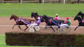 Vidéo de la course PMU PRIX D'YVERDON-LES-BAINS