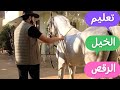 تعليم ادب الخيل العربي الأصيل
