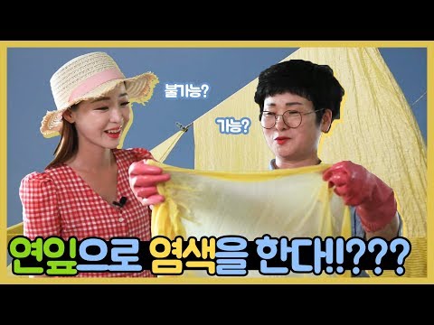 [숏클립] 연잎으로 염색을 한다!!???