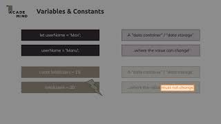 5  Introducing Variables & Constants