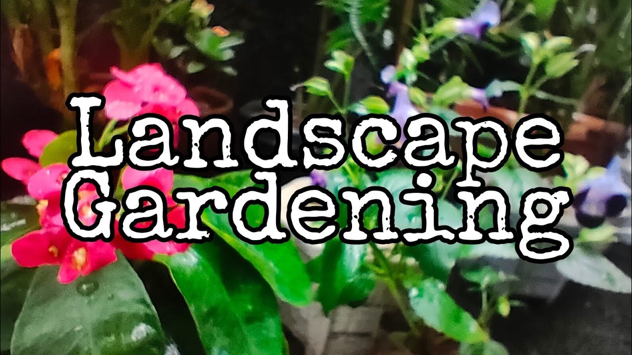 Landscape Gardening | VLOG #42 | - YouTube