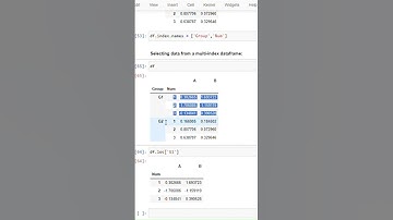 How to index a Multi-Index Dataframe in Python | Mar 2025