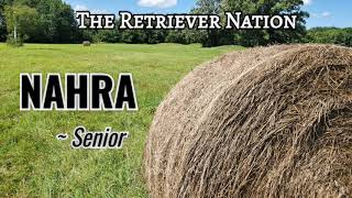 What is a NAHRA SENIOR HUNT?  Learn what it's all about! Test Day 1 at the Central Regional ~ TRN