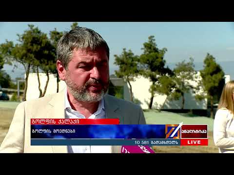 გოლფის მოედნები