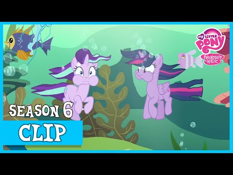 Starlight's Magic Lessons with Twilight (Every Little Thing She Does) | MLP: FiM [HD]