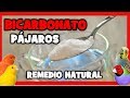 BICARBONATO para CANARIOS y PAJAROS 🐤 REMEDIOS NATURALES para EVITAR y ELIMINAR PIOJILLOS y ACAROS