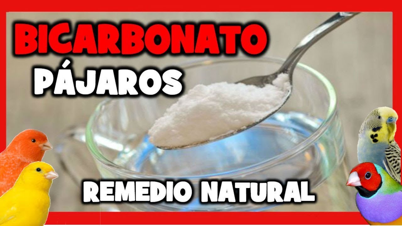 Remedios caseros para la gota bicarbonato