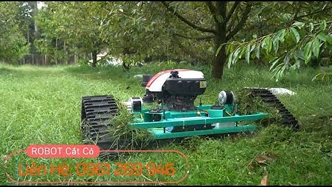 Robot cắt cỏ trong vườn sầu riêng | Thế Giới Máy 0961.269.946