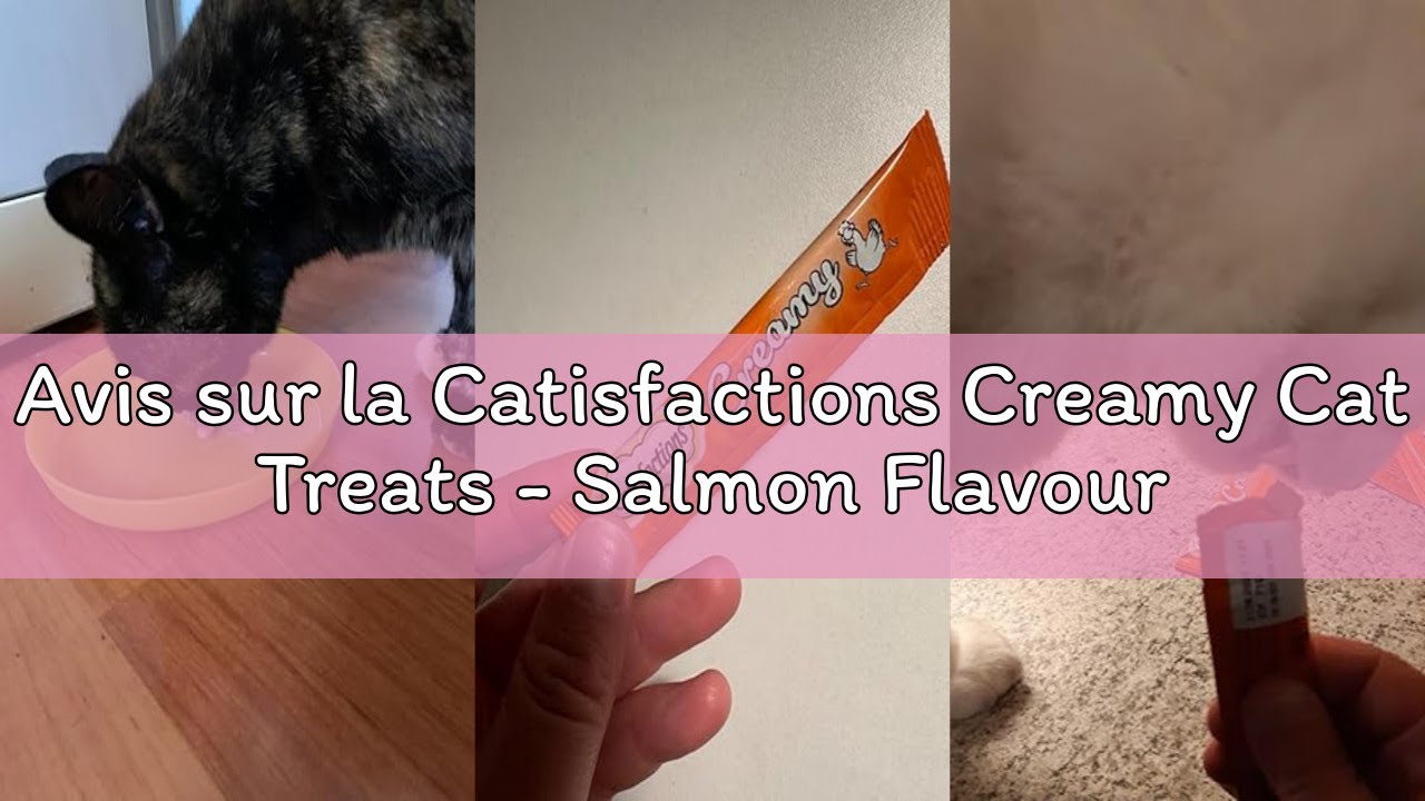 Avis sur la Catisfactions Creamy Cat Treats - Salmon Flavour - Rewards for Adult Cats and Kittens -
