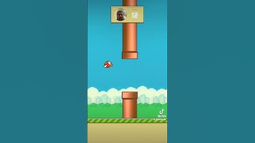 Flappy Bird Second Video Edition this Time with a 17 Score Rate.