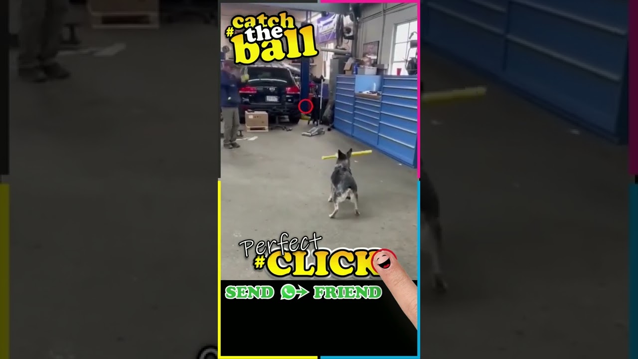 Perfect CLICK - Catch The Ball - short video with game factor