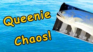 Queenfish Chaos - Big Queenie Strikes At My Feet Pre Cyclone Port Hedland