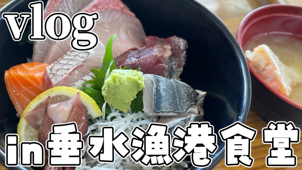 【#vlog 】美味しい海鮮丼を求めて兵庫県の垂水漁港食堂にいってきました！【#あおぞらメイ/#vtuber 】
