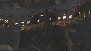 Citadel tree lighting