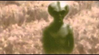 Alien in cornfield