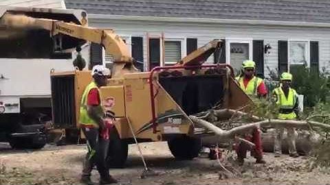 Cape Cod Tree Removal