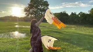 BTWH Ministries Worship with Flags Music 🎶 I’m not ashamed by Abigail Duhon