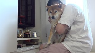 明日手術です、闘ってきます。