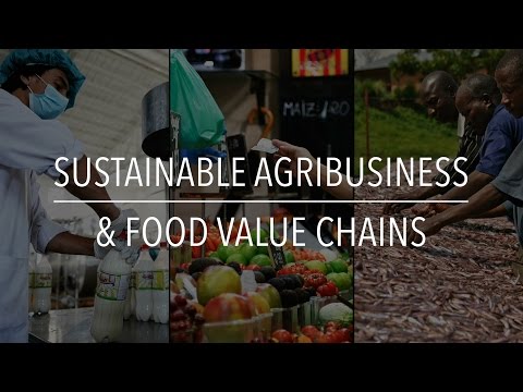 FAO Policy Series: Sustainable Agribusiness & Food Value Chains