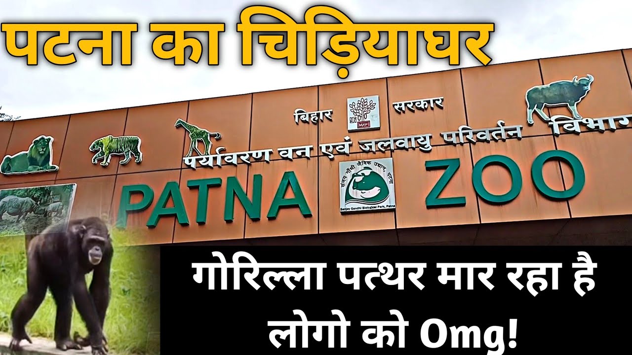 Patna Zoo amazing travel vlog। Patna ChidiyaGhar। Zoo Patna । Patna Zoo।Patna Bihar
