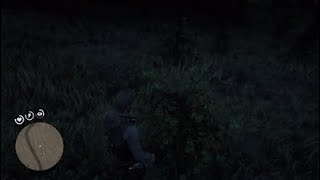Red Dead Redemption 2 BLACKBERRY Location