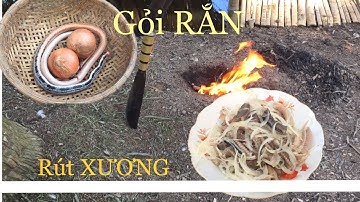 Rắn rút Xương - Cách làm gỏi RẮN rút Xương với củ hành / Thức Bụi - Discovery