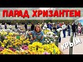 КРЫМ 2020 - ГЛАВНОЕ СОБЫТИЕ ГОДА! ПАРАД - ХРИЗАНТЕМ! НИКИТСКИЙ БОТАНИЧЕСКИЙ САД